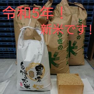 令和5年 新米！精米無料！玄米15キロ 栃木県大田原 黒羽産コシヒカリ 15㎏