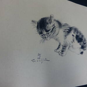 【模写】藤田嗣治 子猫 1964年頃 鉛筆画 紙本著色 ・額縁無し・洋画・写真やコピーではなく人が描いた絵・ft14nの画像3