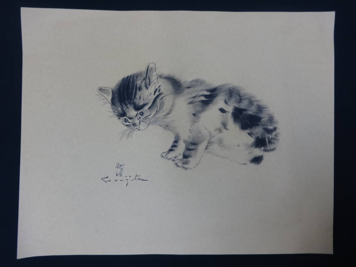 [Copy] Tsuguharu Fujita Kitten, circa 1964, pencil drawing, color on paper, no frame, Western painting, drawing by a person, not a photo or copy, ft14n, artwork, painting, pencil drawing, charcoal drawing