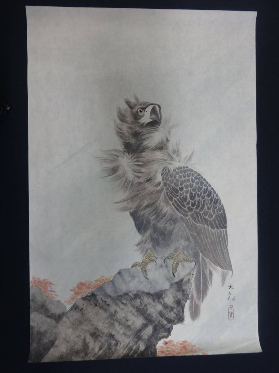 [Reproduktion] Yokoyama Taikans Gemälde eines Falken und eines Adlers, Aquarell, farbig auf Papier, ungerahmt, Japanische Malerei, kein Druck oder Foto, sondern ein von einem Menschen gezeichnetes Gemälde, yt81w, Malerei, Japanische Malerei, Blumen und Vögel, Tierwelt