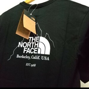 the north face biner graph tee