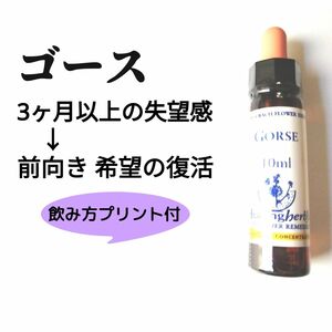 13.ゴース《10ml》バッチフラワーエッセンスヒーリングハーブス社　