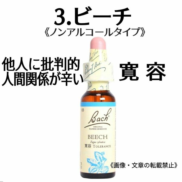 3.ビーチ（10ml）グリセリンベース ノンアルコールフラワーエッセンス バッチフラワーエッセンスNelsonBach