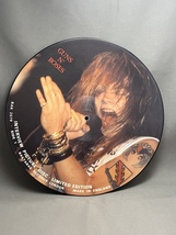 【LP】GUNS N' ROSES/LIMITED EDITION INTERVIEW PICTURE DISC ガンズ　ガンズ・アンド・ローゼズ_画像3