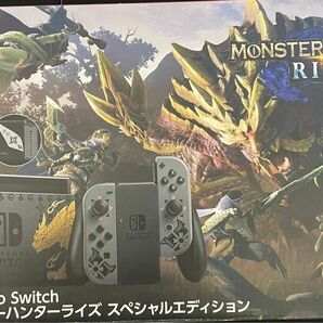 Nintendo Switch モンスターハンターライズ スペシャルエディション