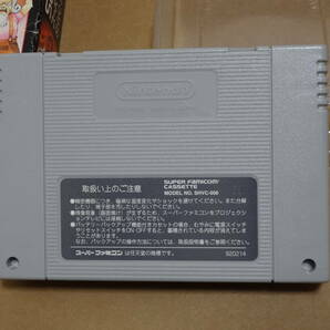 スーパーファミコン SFC レディストーカーの画像5