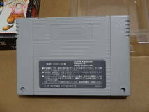 スーパーファミコン SFC　レディストーカー_画像5