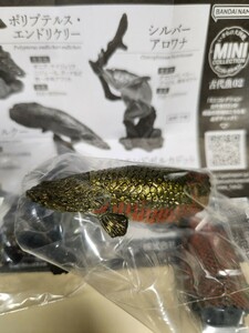 いきもの大図鑑MINI　古代魚０２　ピラルクー　