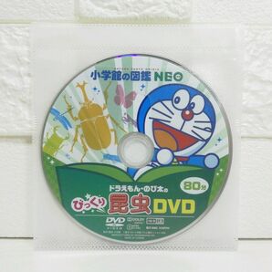 小学館の図鑑 ネオ NEO 昆虫 DVD単品 芦田愛菜
