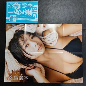 【未開封新品/防水処理/片面補強】 桑島海空 「月刊少年チャンピオン」特別付録 黒水着 BIGポスター 