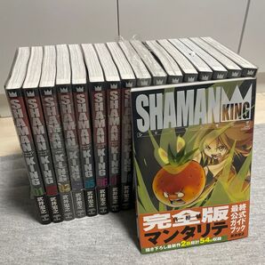 シャーマンキング 完全版 17冊セット 公式ガイド マンタリテ付き 武井宏之 美品