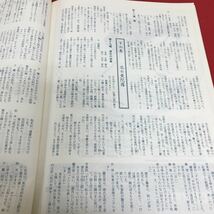 d-510 新源氏物語 ザ・ドリーマー 東京宝塚劇場 平成元年8月3日発行 宝塚歌劇団 宝塚劇場75周年 ※3_画像7