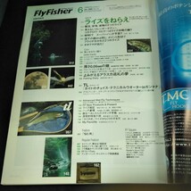 e-345 フライフィッシャー 2005年発行 6月号 特集 マッチング・ザ・ハッチ ７つのリアルストーリー ライズをねらえ つり人社※3 _画像7