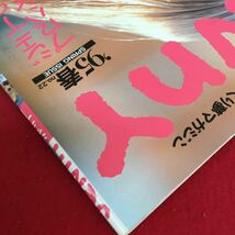 g-400 JeNnY ジェニー No.22 1995年3月20日発行 着せかえ人形と手づくり夢マガジン イースタードレス ※3 _画像3