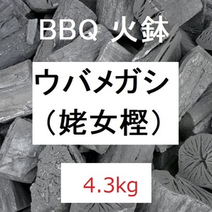 特価！《送込》(炭243)【ウバメカシ】カシ炭「4.3kg」火持ち抜群　BBQ　燃料　囲炉裏　火鉢　バーベキュー　割れ欠け不揃い　姥女樫 かし