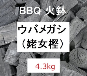 特価！《送込》(炭243)【ウバメカシ】カシ炭「4.3kg」火持ち抜群　BBQ　燃料　囲炉裏　火鉢　バーベキュー　割れ欠け不揃い　姥女樫 かし