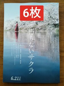 6枚　朽ちないサクラ　映画　フライヤー　チラシ杉咲花　萩原利久　安田顕　豊原功補