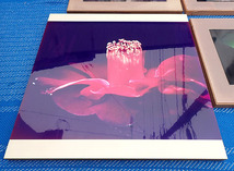 【二科展入選作品他 アート写真パネル 4枚まとめて】自然 花 椿 水面 光 芸術 インテリア 壁飾り ビンテージ 現状品_画像2
