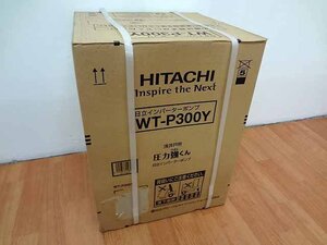 日立 インバーターポンプ 浅井戸用 WT-P300Y H14-02a