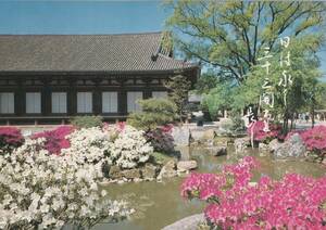 ☆◎ 三十三間堂 　◎ 【 花の風景】俳句【夏目漱石】『日は永し三十三間堂 長し』駄作ではと論争のある有名な句 ◇絵葉書◇京都◇