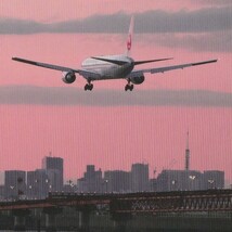 ☆◎ 空港不明 ◎【B767-300】グラスコックピット装備「ハイテク機」◇JAL機◇絵葉書◇航空機◇_画像3