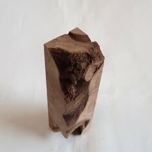 ☆ 希少 クラロウォルナット瘤 Claro Walnut Burl ☆ Ｎｏ．０５５５３の画像4