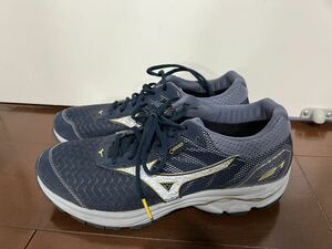 MIZUNO ミズノ waverider GORE-TEX 26.5cm used