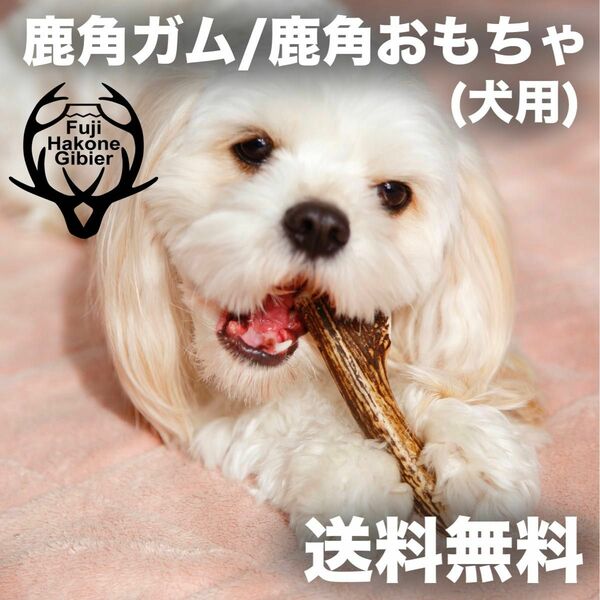 鹿角　犬用 おもちゃ　ガム　Sサイズ(小) 約7〜10cm約20g 3本入