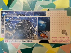 ミ★新江ノ島水族館2枚セット★即決！★有効期限2024年3月31日★ミ