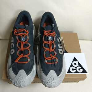 ■即決 新品 NIKE ACG MOUNTAIN FLY2 LOW GTX 28.5cm ナイキ マウンテンフライ2 ロー ゴアテックス 雨 梅雨対策にもの画像1