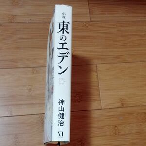 東のエデン　小説 （ダ・ヴィンチブックス） 神山健治／著