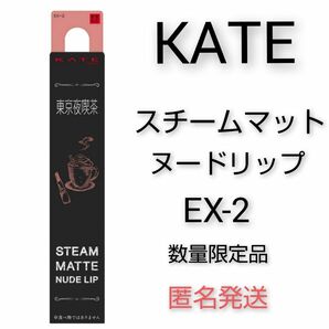 匿名発送 KATE スチームマットヌードリップ　数量限定 先行発売 EX2 ケイト 口紅 Lip