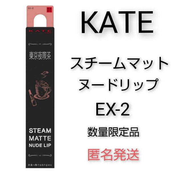 匿名発送 KATE スチームマットヌードリップ　数量限定 先行発売 EX2 ケイト 口紅 Lip