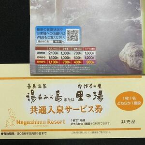 複数枚あり ナガシマスパーランド 湯あみの島 なばなの里 里の湯 入館券 有効期限 2026/2/28 長島温泉 即決