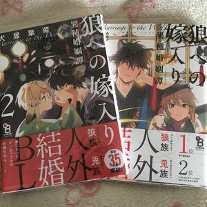 『狼への嫁入り 異種婚姻譚』 ①〜② 犬居葉菜 on BLUE オンブルー　祥伝社　ペーパー　ボーイズラブ　人外　獣人　