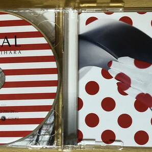 茅原実里 SPIRAL [CD+BD] [2枚組] [初回出荷限定盤]の画像4