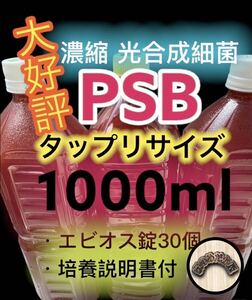 光合成細菌 PSB 1000ml エビオス30錠 ゾウリムシ タマミジンコ めだか 針子 培養 エサ 水質改善 4