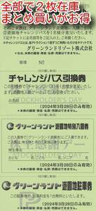 １～２枚）３月２８日のみ限定グリーンランドリゾートの株主感謝デー特別チケット　即決あり