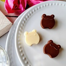 カエルのチョコレート型（２４）シリコンモールド　お菓子　手作り　プレゼント_画像1