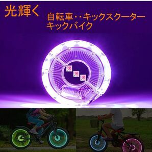８０％オフで即決、１番日本で光るライトと本体■ボードライク■キックバイク■バランスバイク■ストライダー■へんしんバイク■ライト同梱の画像6