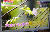 【地デジ故障】シャープ 22型 液晶テレビ AQUOS LC-22K30 送料無料 (ジャンク品)_画像5
