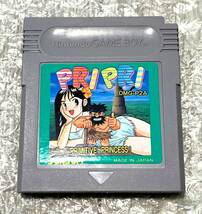 〈ソフト美品・説明書付属・動作確認済み〉GB ゲームボーイ PRIPRI プリプリ SUNSOFT GAMEBOY_画像2