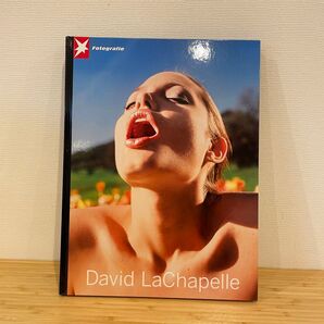 デヴィッド・ラシャペル　大判写真集　David LaChapelle (Stern Fotografie Portfolio)