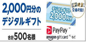 懸賞 応募券　( PayPay 他 デジタルギフト 2000円、、　　　ks