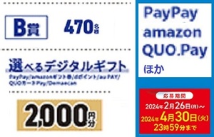 懸賞 応募券　( PayPay　他、えらべるデジタルギフト　2000円　　　　　sof