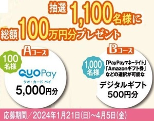 懸賞 応募券　( QUO Pay 5000円、Pay Pay 500円、他　　　me-p