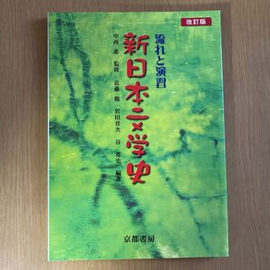 流れと演習 新日本文学史 改訂版／中西進近藤衛岩田晋次谷寛史