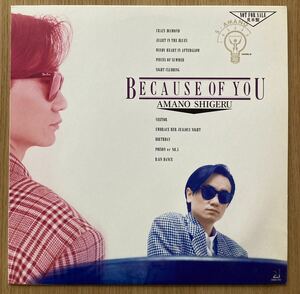 レコード　天野滋　『BECAUSE OF YOU』　1988年　見本盤　美盤