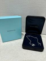 M3646　1円 TIFFANY＆Co ティファニー エルサペレッティ レター ｎ SV925 イニシャル ネックレス アクセサリー シルバー系 _画像1