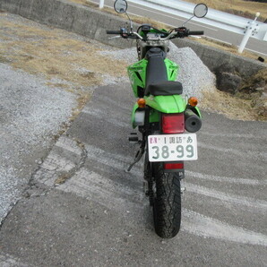 2005年式 KAWASAKI(カワサキ)Ｄトラッカー250 キャブレターモデル 走行距離15.000km 改造なし フルノーマル 綺麗です。の画像6